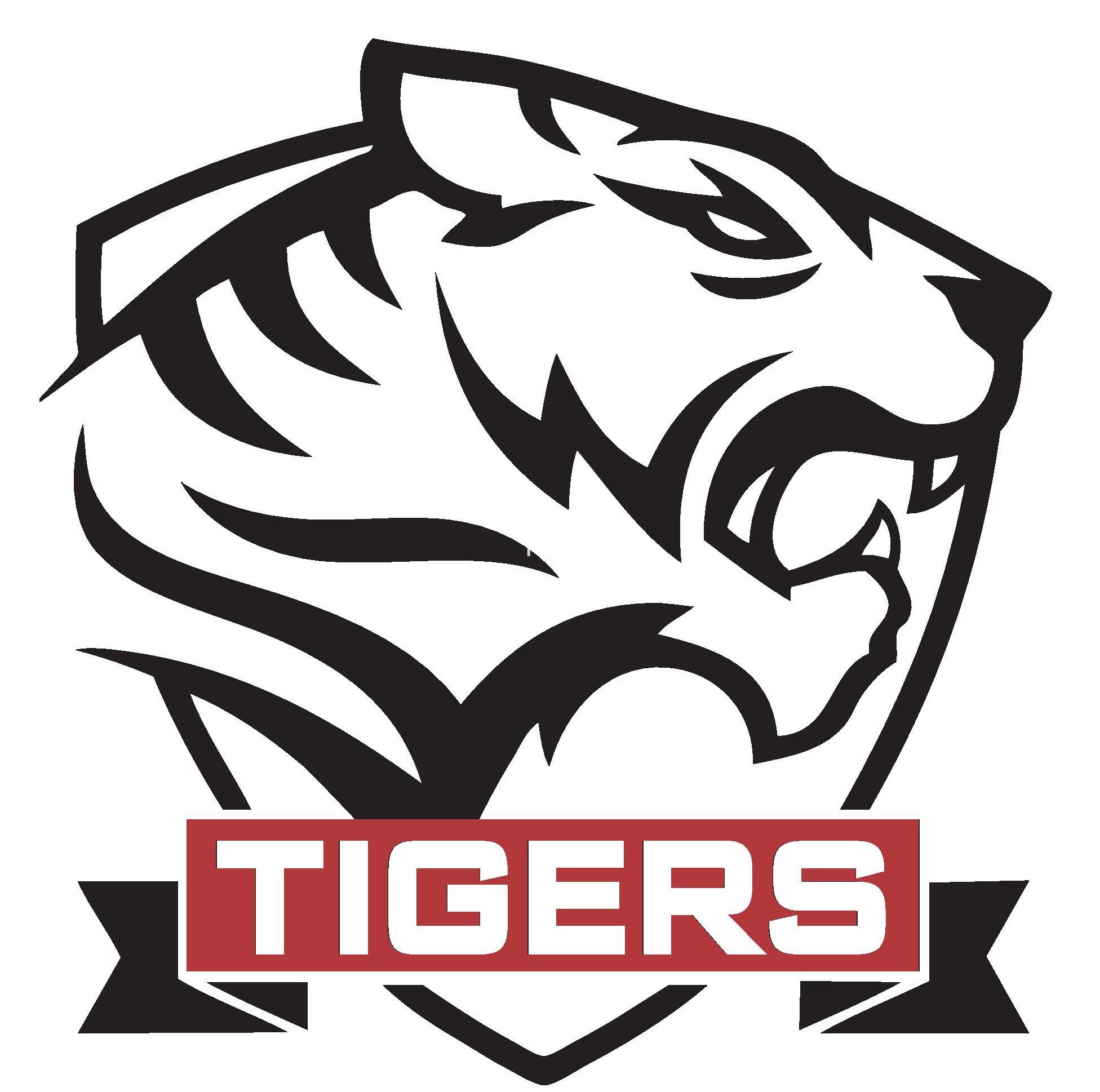 Team Tigers